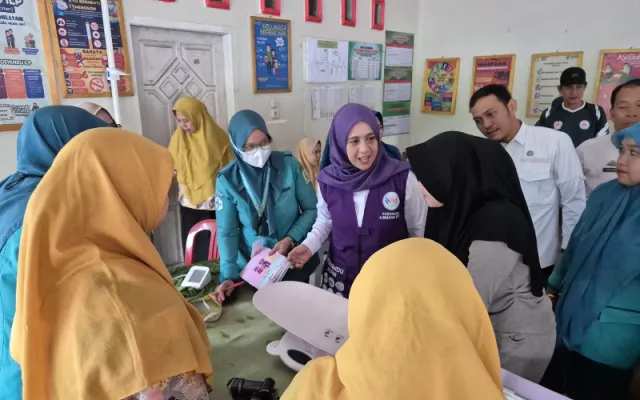 Peringati Hari Posyandu Nasional, Ketua TP-PKK Sinjai Pantau Layanan ILP di Biringere