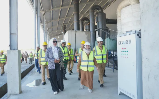 Tinjau Pabrik Porang di Lappa, Bupati Sinjai Pastikan Prioritas Tenaga Kerja Lokal dan Perbaikan Jalan