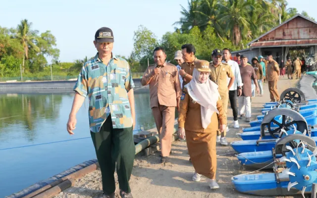 Peduli Ekonomi dan Pangan Lokal, Bupati Ratnawati Tinjau Tambak Udang Modern di Baringeng