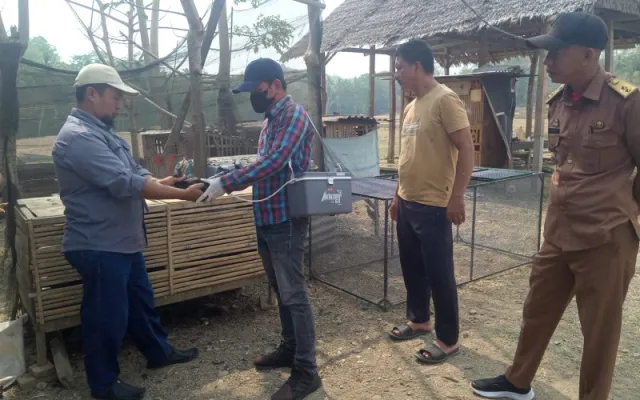 Cegah Penyebaran Flu Burung, Lurah Samataring Dampingi Tim Vaksinasi di Batu Lappa
