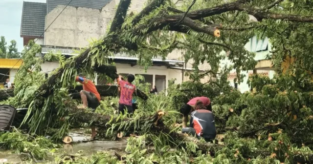 Pemkab Sinjai Gerak Cepat Tangani Dampak Cuaca Ekstrem di Tiga Kecamatan