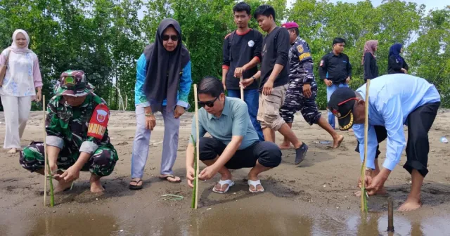 Pemkab Sinjai bersama Mahasiswa Tanam Mangrove di Pantai Marana, Wujud Aksi Penghijauan