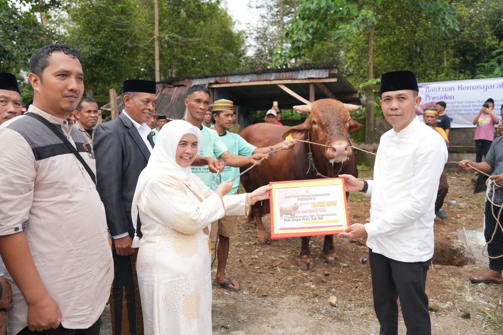 Bupati Ratnawati Dampingi Penyembelihan Sapi Kurban Presiden Seberat 1 Ton Lebih di Sinjai Selatan