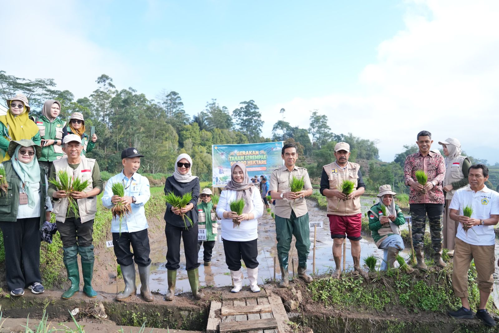 Bupati Ratnawati Turun ke Sawah, Sinjai Ikut Gerakan Tanam Padi Serentak Nasional