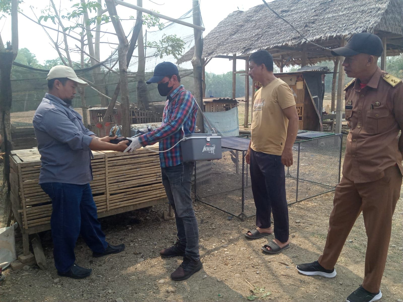 Cegah Penyebaran Flu Burung, Lurah Samataring Dampingi Tim Vaksinasi di Batu Lappa