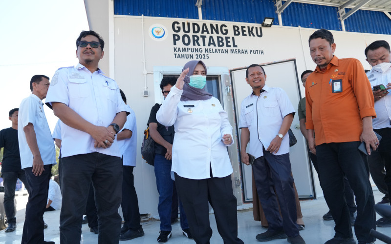 Sambangi Kampung Nelayan Merah Putih, Bupati Ratnawati Harap Ikan Segar Sinjai Jadi Primadona MBG