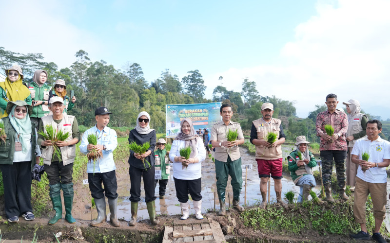 Bupati Ratnawati Turun ke Sawah, Sinjai Ikut Gerakan Tanam Padi Serentak Nasional