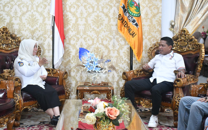 Bupati Sinjai Terima Audiensi Dewan Kesenian Daerah, Bahas Pelantikan Pengurus dan Rangkaian Kegiatan Budaya