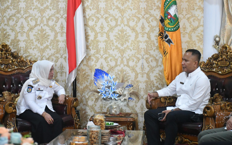Bupati Sinjai Terima Audiensi Kepala ATR/BPN, Bahas Penguatan Kerja Sama Pertanahan