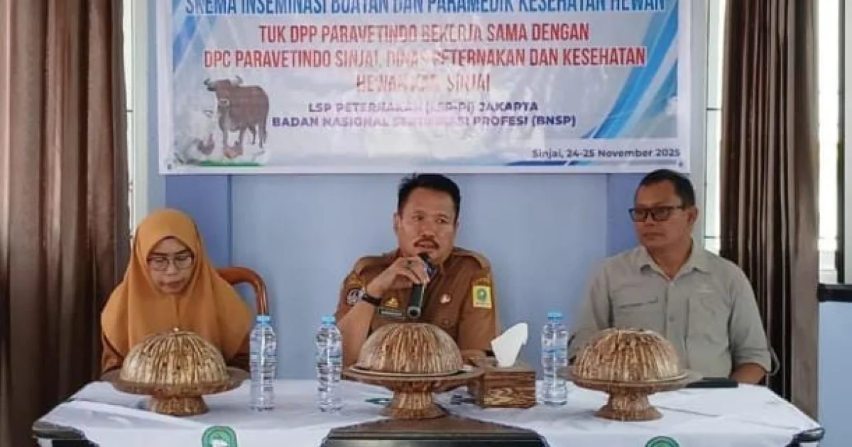 Dorong Profesionalitas, Petugas IB di Sinjai Jalani Uji Sertifikasi Kompetensi