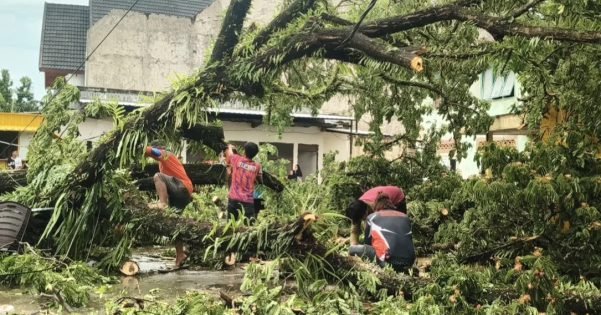 Pemkab Sinjai Gerak Cepat Tangani Dampak Cuaca Ekstrem di Tiga Kecamatan
