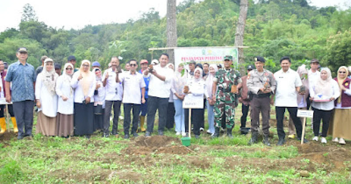 Bupati Sinjai Tanam Perdana Kopi di Batu Belerang, Tekankan Pentingnya Hilirisasi